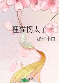《狸猫拐太子》