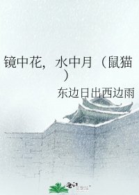 《镜中花,水中月(鼠猫)》