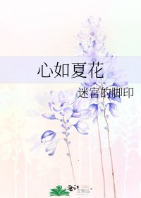 《心如夏花》