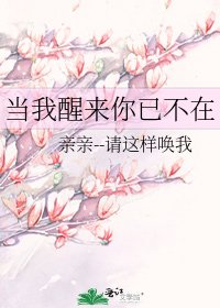 《当我醒来你已不在》