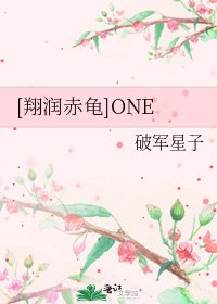 [翔润赤龟]ONE