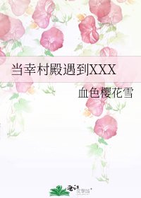 《当幸村殿遇到XXX》