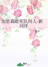 《加里森敢死队同人-新同伴》