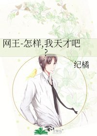 《网王-怎样,我天才吧?》