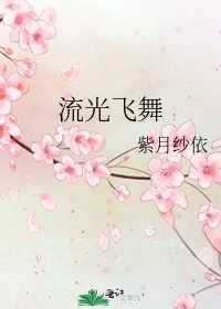 《流光飞舞》
