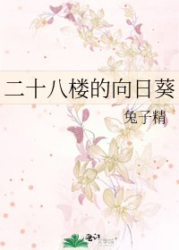 《二十八楼的向日葵》