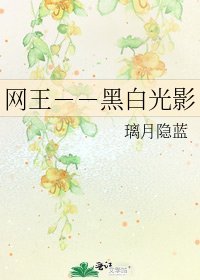 《网王--黑白光影》