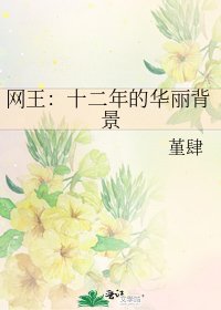 《网王:十二年的华丽背景》