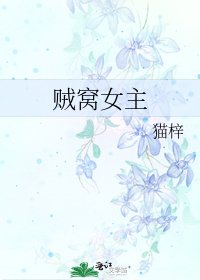 《贼窝女主》