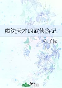 《魔法天才的武侠游记》