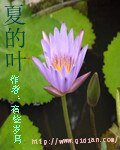 夏的叶