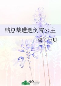 《酷总裁遭遇倒霉公主》