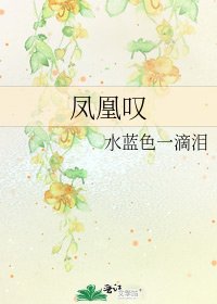 《凤凰叹》