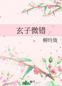 《玄子微错》