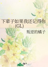 《下辈子如果我还记得你(GL)》