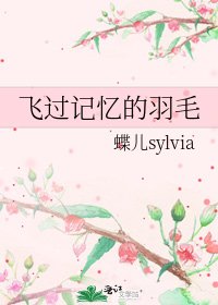 《飞过记忆的羽毛》