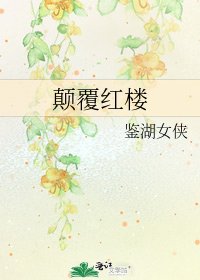 颠覆红楼