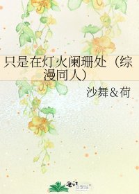 《只是在灯火阑珊处(综漫同人)》