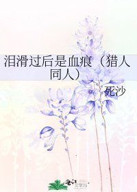 《泪滑过后是血痕(猎人同人)》