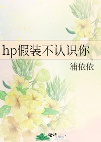 （HP同人）hp假装不认识你