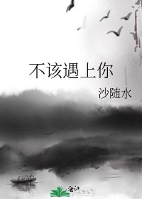 《不该遇上你》