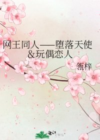 《网王同人——堕落天使&玩偶恋人》