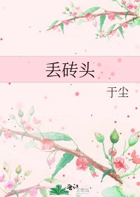《丢砖头》
