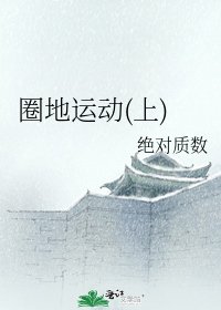 《圈地运动(上)》