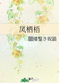 《凤栖梧》