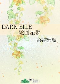 《DARK-BILE 轮回星梦》