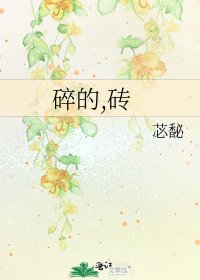 碎的,砖