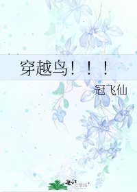《穿越鸟!!!》