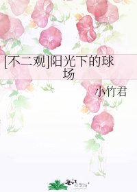 [不二观]阳光下的球场