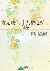 《方无现代 十九楼电梯向左》