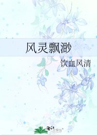 《风灵飘渺》