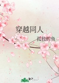 《穿越同人》