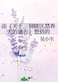关于三钢辖区禁养犬的通告