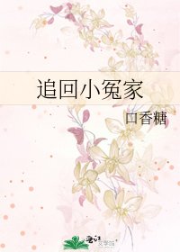 《追回小冤家》