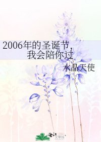 2006年的圣诞节，我会陪你过