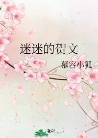 《迷迷的贺文》