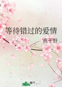 《等待错过的爱情》