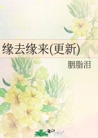 缘去缘来(更新)