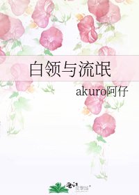 《白领与流氓》
