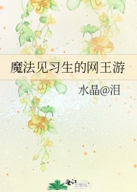 《魔法见习生的网王游》