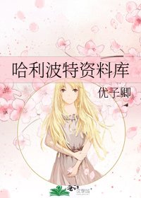 《哈利波特资料库》