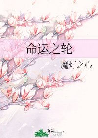 《命运之纶》