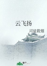《云飞扬》