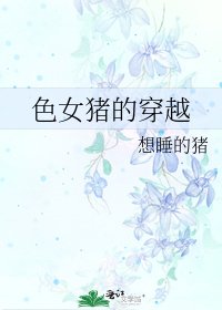 《色女猪的穿越》