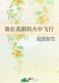 《谁在美丽的火中飞行》