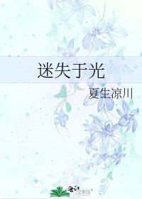 《迷失于光》